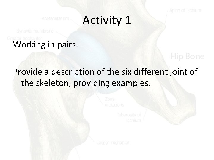 Activity 1 Working in pairs. Provide a description of the six different joint of