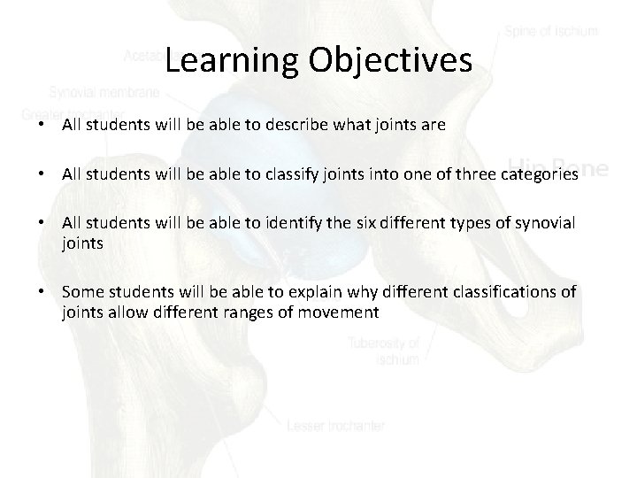Learning Objectives • All students will be able to describe what joints are •