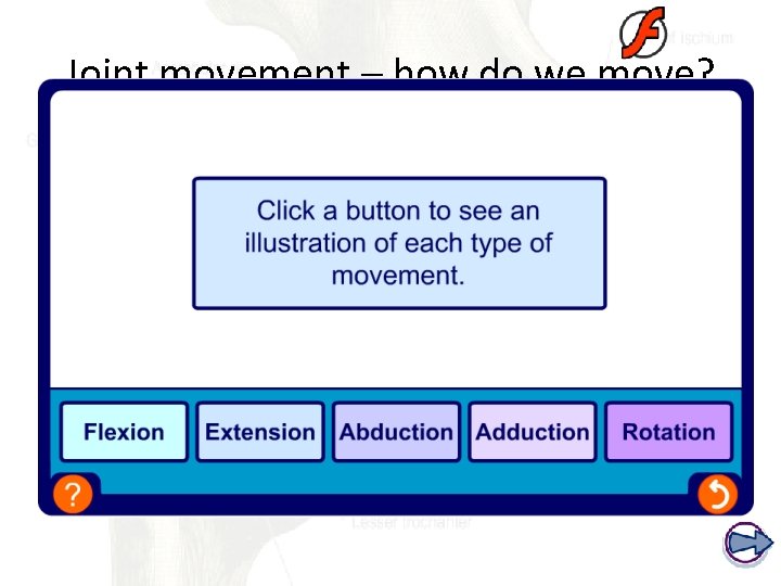 Joint movement – how do we move? 
