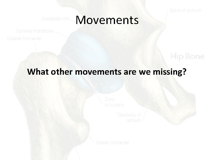 Movements What other movements are we missing? 