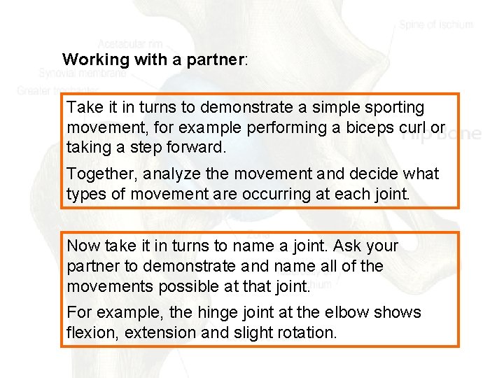 Working with a partner: Take it in turns to demonstrate a simple sporting movement,