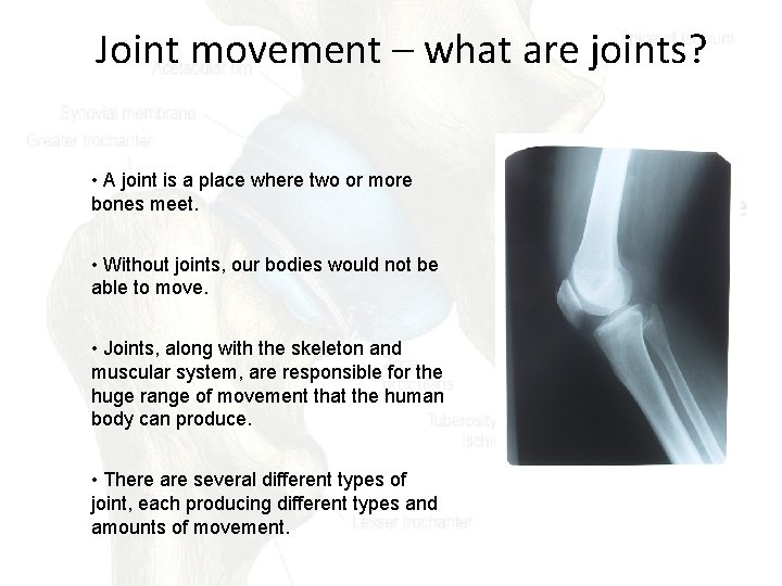 Joint movement – what are joints? • A joint is a place where two