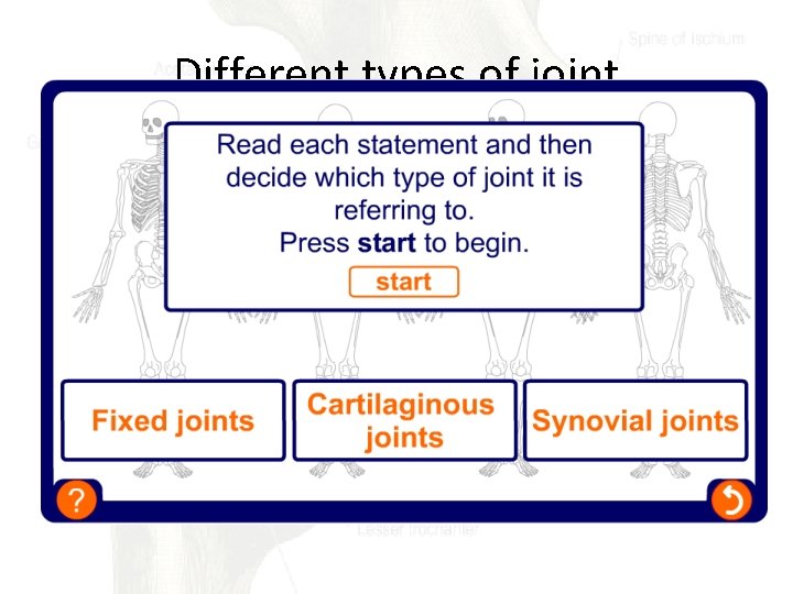 Different types of joint 