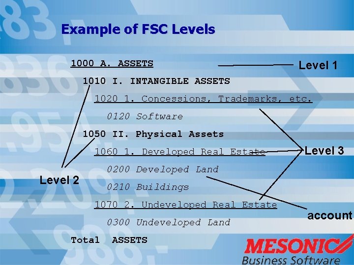 Example of FSC Levels 1000 A. ASSETS Level 1 1010 I. INTANGIBLE ASSETS 1020