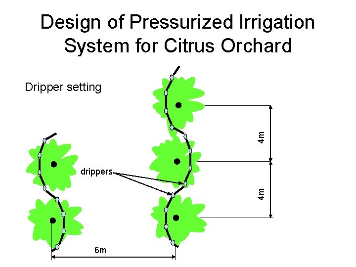 Design of Pressurized Irrigation System for Citrus Orchard 4 m Dripper setting 4 m