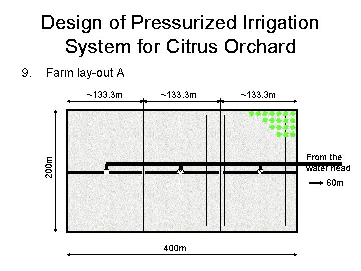 Design of Pressurized Irrigation System for Citrus Orchard Farm lay-out A ~133. 3 m