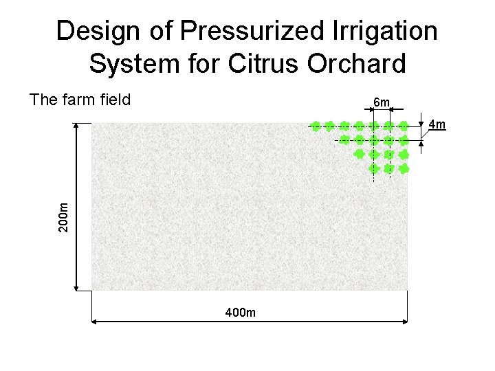 Design of Pressurized Irrigation System for Citrus Orchard The farm field 6 m 200