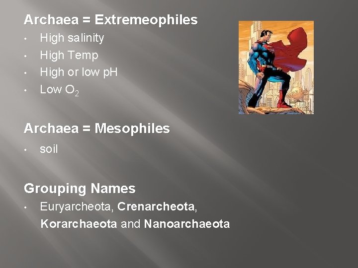 Archaea = Extremeophiles • • High salinity High Temp High or low p. H