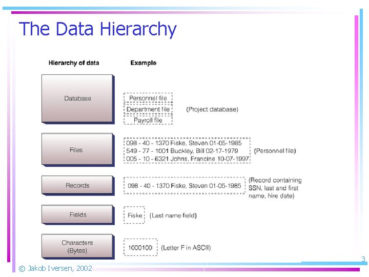 The Data Hierarchy 3 © Jakob Iversen, 2002 