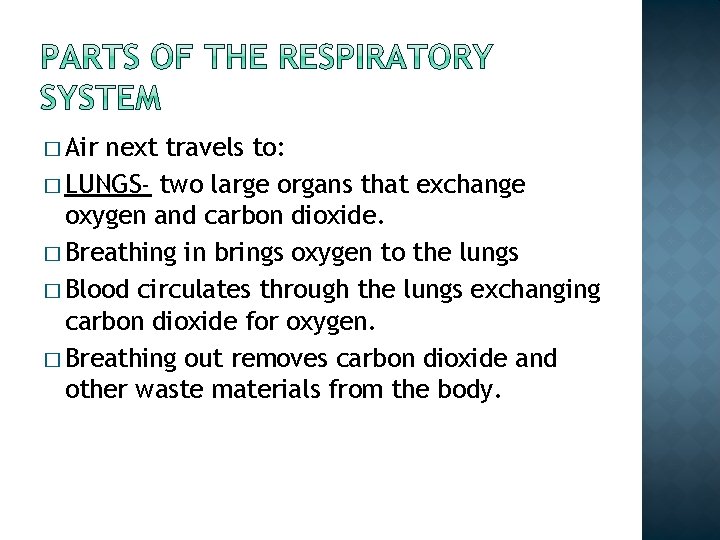 lungs are the main organs of dash system