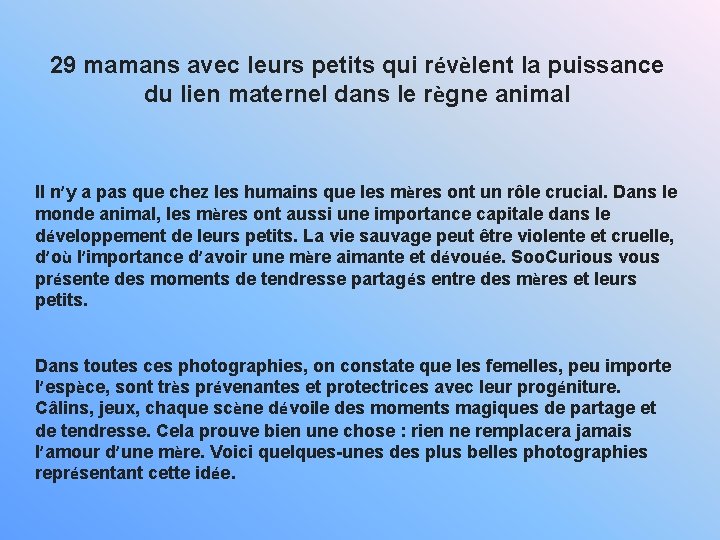 29 mamans avec leurs petits qui révèlent la puissance du lien maternel dans le