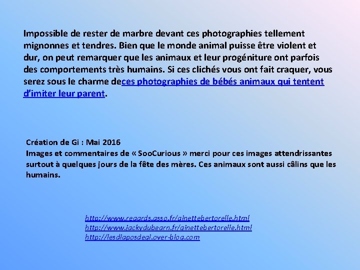 Impossible de rester de marbre devant ces photographies tellement mignonnes et tendres. Bien que