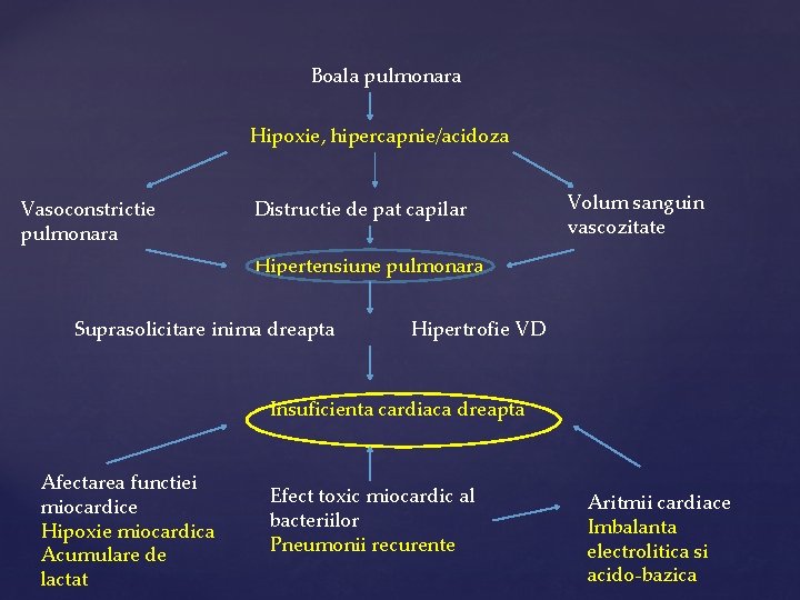 Boala pulmonara Hipoxie, hipercapnie/acidoza Vasoconstrictie pulmonara Distructie de pat capilar Volum sanguin vascozitate Hipertensiune