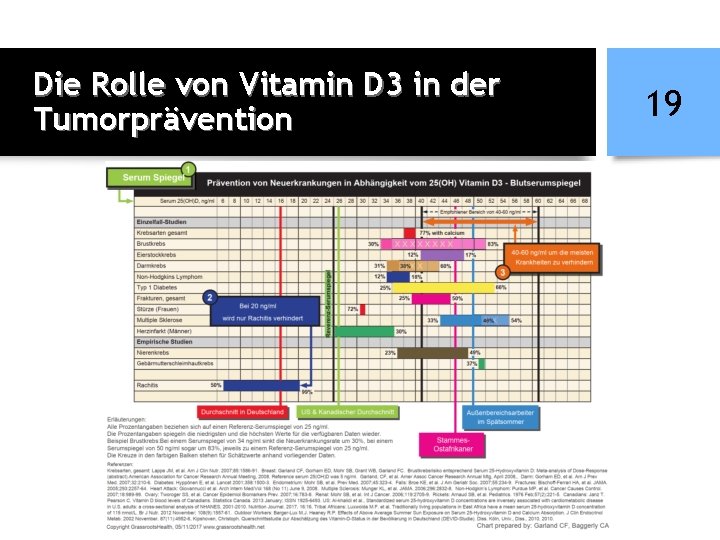 Die Rolle von Vitamin D 3 in der Tumorprävention 19 