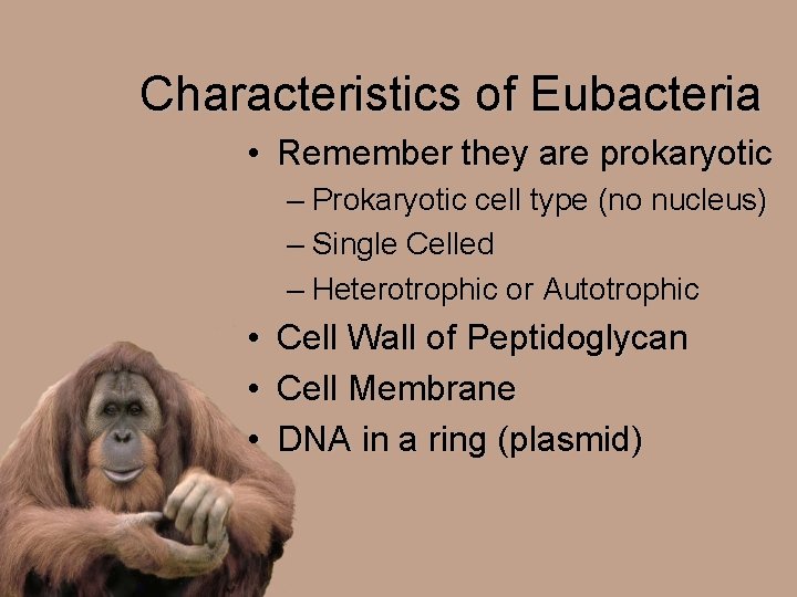 Characteristics of Eubacteria • Remember they are prokaryotic – Prokaryotic cell type (no nucleus)
