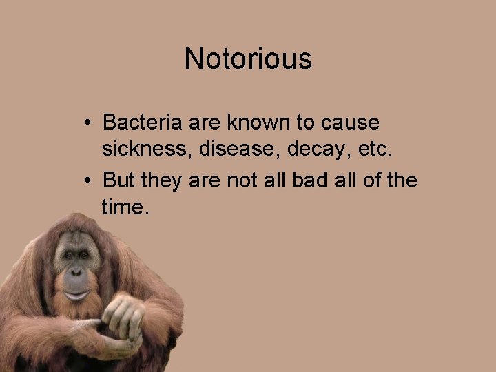Notorious • Bacteria are known to cause sickness, disease, decay, etc. • But they