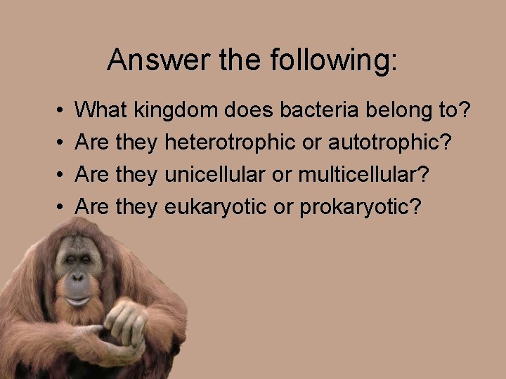Answer the following: • • What kingdom does bacteria belong to? Are they heterotrophic