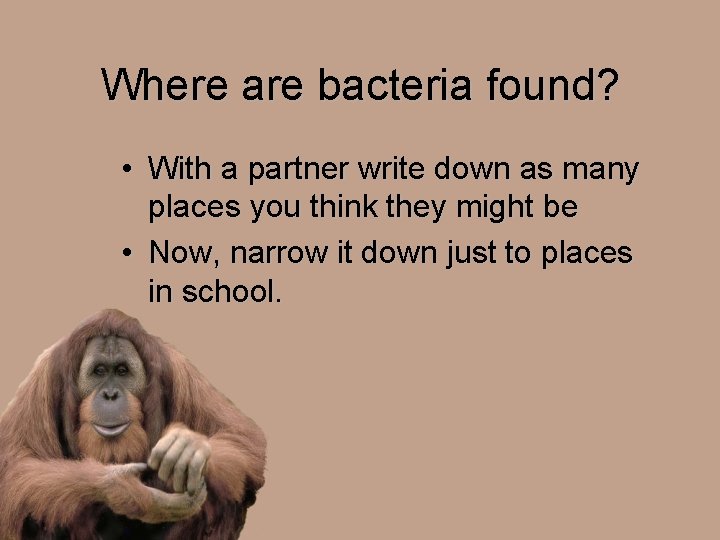 Where are bacteria found? • With a partner write down as many places you