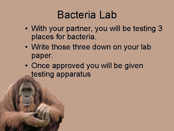 Bacteria Lab • With your partner, you will be testing 3 places for bacteria.