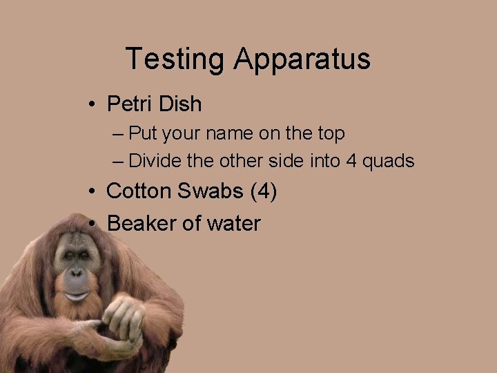 Testing Apparatus • Petri Dish – Put your name on the top – Divide