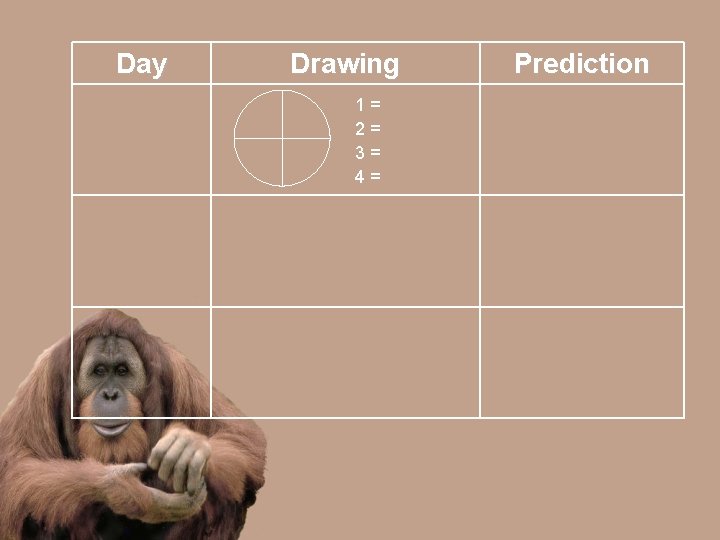 Day Drawing 1= 2= 3= 4= Prediction 