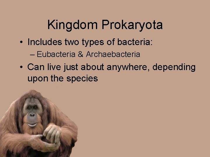 Kingdom Prokaryota • Includes two types of bacteria: – Eubacteria & Archaebacteria • Can