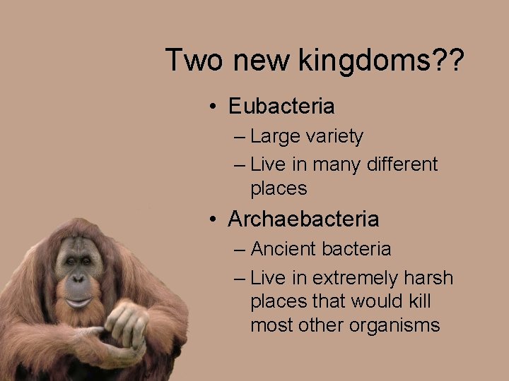 Two new kingdoms? ? • Eubacteria – Large variety – Live in many different