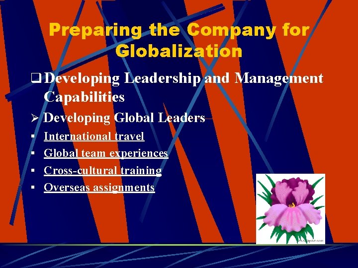 Preparing the Company for Globalization q Developing Leadership and Management Capabilities Ø Developing Global
