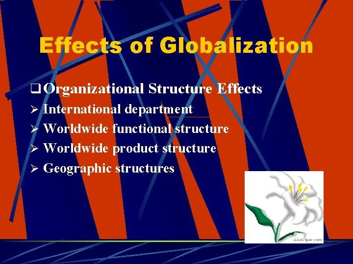 Effects of Globalization q Organizational Structure Effects Ø International department Ø Worldwide functional structure