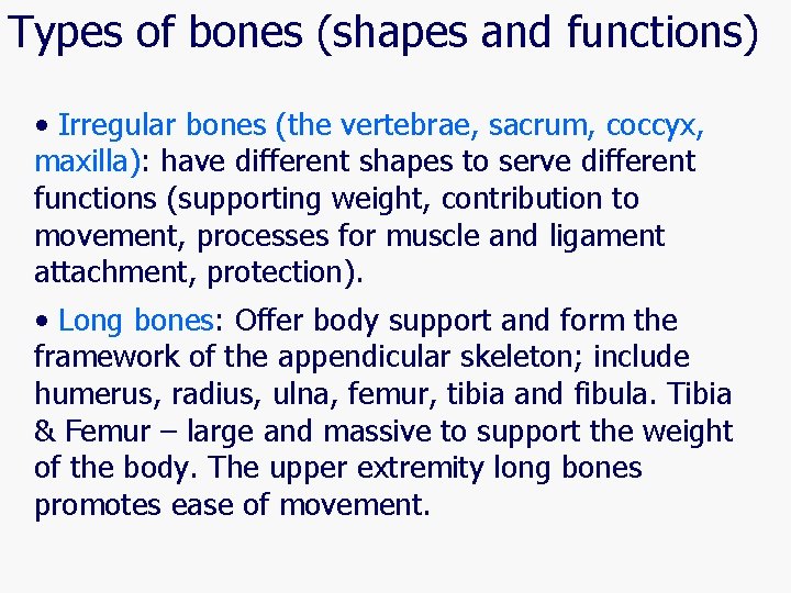 Types of bones (shapes and functions) • Irregular bones (the vertebrae, sacrum, coccyx, maxilla):
