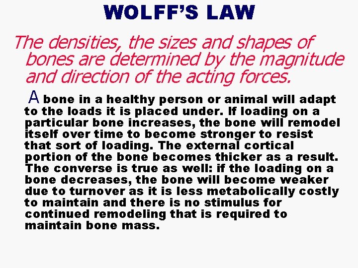 WOLFF’S LAW The densities, the sizes and shapes of bones are determined by the