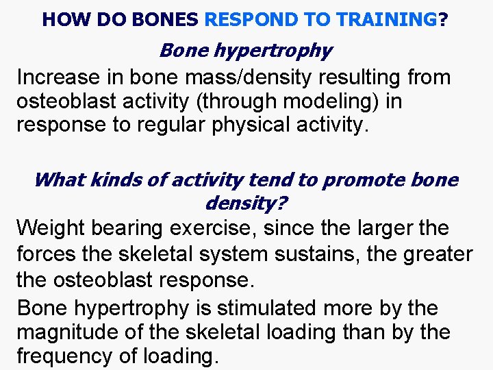 HOW DO BONES RESPOND TO TRAINING? Bone hypertrophy Increase in bone mass/density resulting from