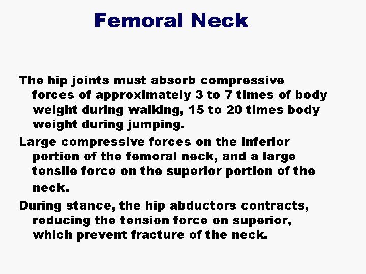 Femoral Neck The hip joints must absorb compressive forces of approximately 3 to 7