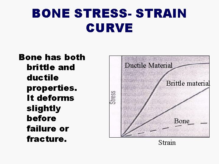 BONE STRESS- STRAIN CURVE Bone has both brittle and ductile properties. It deforms slightly