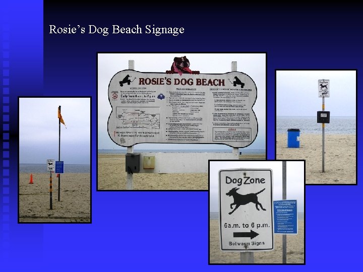 Rosie’s Dog Beach Signage 