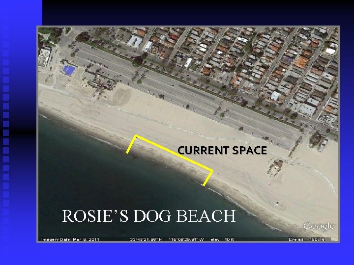 CURRENT SPACE ROSIE’S DOG BEACH 