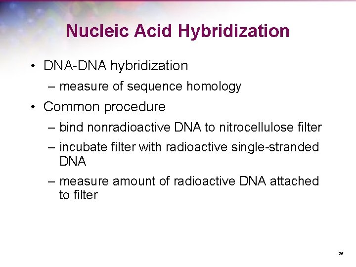 Nucleic Acid Hybridization • DNA-DNA hybridization – measure of sequence homology • Common procedure