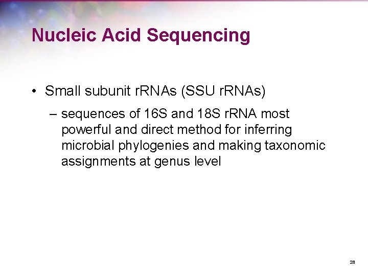 Nucleic Acid Sequencing • Small subunit r. RNAs (SSU r. RNAs) – sequences of