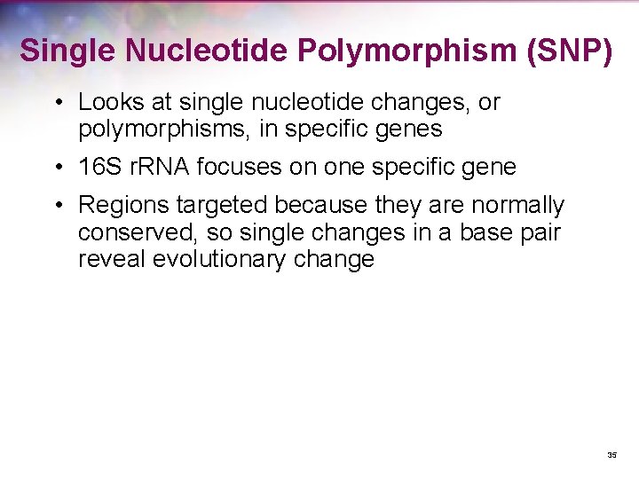 Single Nucleotide Polymorphism (SNP) • Looks at single nucleotide changes, or polymorphisms, in specific