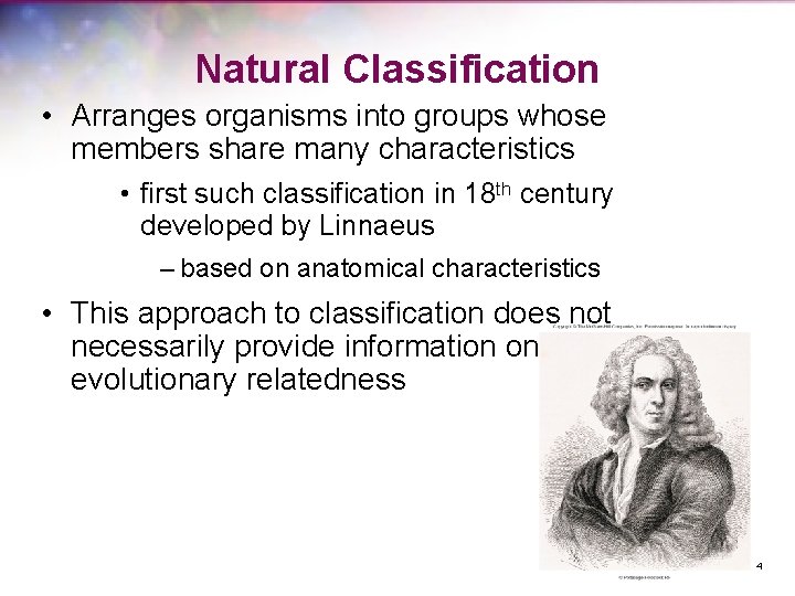 Natural Classification • Arranges organisms into groups whose members share many characteristics • first