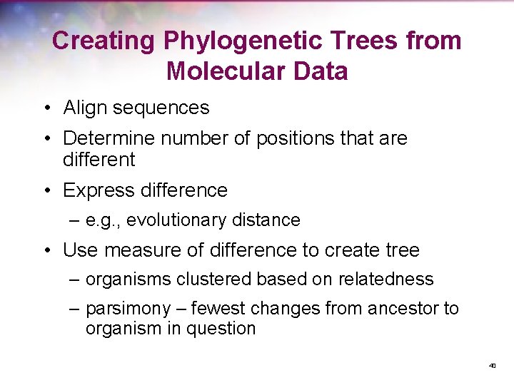 Creating Phylogenetic Trees from Molecular Data • Align sequences • Determine number of positions