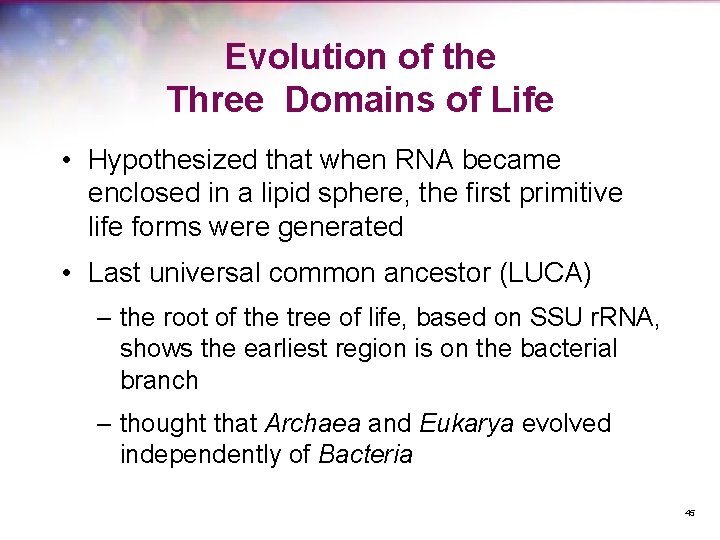 Evolution of the Three Domains of Life • Hypothesized that when RNA became enclosed
