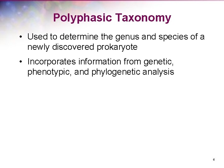 Polyphasic Taxonomy • Used to determine the genus and species of a newly discovered