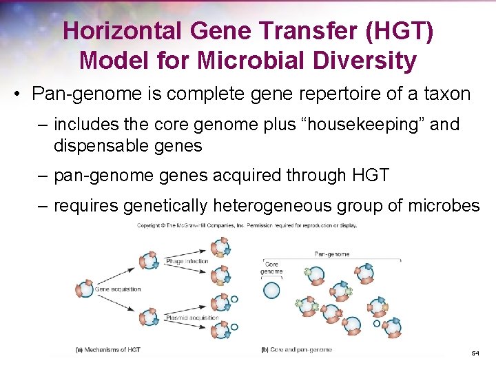 Horizontal Gene Transfer (HGT) Model for Microbial Diversity • Pan-genome is complete gene repertoire