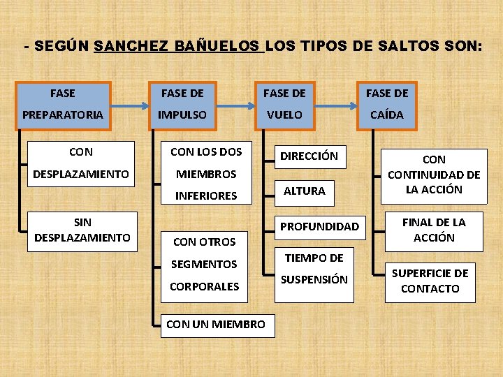 - SEGÚN SANCHEZ BAÑUELOS TIPOS DE SALTOS SON: FASE DE PREPARATORIA IMPULSO VUELO CAÍDA