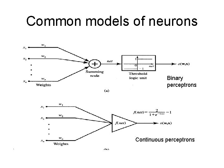 Common models of neurons Binary perceptrons Continuous perceptrons Common models of neurons Binary perceptrons Continuous perceptrons