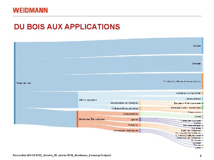 DU BOIS AUX APPLICATIONS Rencontres WOODRISE_Genève_30 Janvier 2019_Weidmann_Delaunay-Driquert 6 