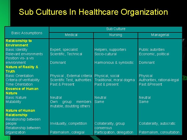 Sub Cultures In Healthcare Organization Sub Culture Basic Assumptions Relationship to Environment Basic Identity