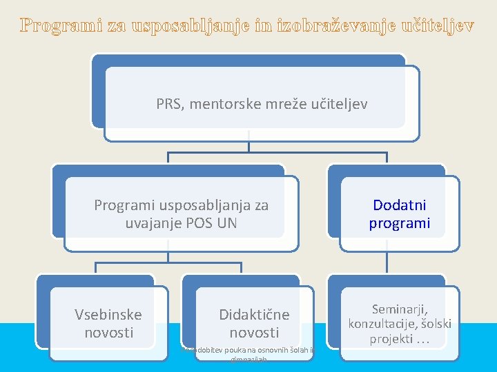 Programi za usposabljanje in izobraževanje učiteljev PRS, mentorske mreže učiteljev Programi usposabljanja za uvajanje