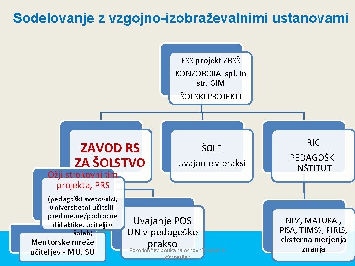 Sodelovanje z vzgojno-izobraževalnimi ustanovami ESS projekt ZRSŠ KONZORCIJA spl. In str. GIM ŠOLSKI PROJEKTI